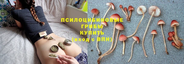 а пвп мука Алексеевка