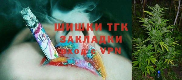твердый Алексин
