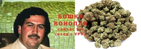твердый Щигры